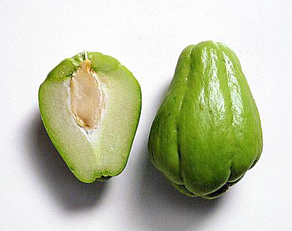 chayote2.jpg