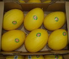 melon4.jpg