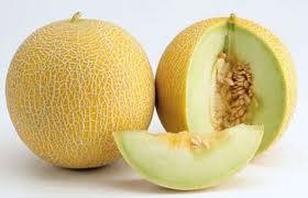 melon5.jpg